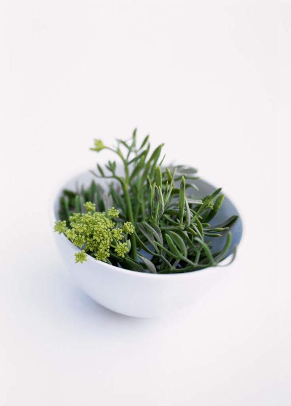 无人,竖图,俯视,室内,特写,白天,植物,桌面,桌子,蔬菜,阴影,新鲜,盛开,光线,木制,影子,陶瓷,食品,陶瓷制品,花蕾,花,花瓣,花朵,鲜花,食物,一个,绿色,自然,木制品,容器,碗,花苞,花蕊,有机食品,绿色食品,生长,单个,成长,储藏,储存,海蓬子,彩图,高角度拍摄,贮存