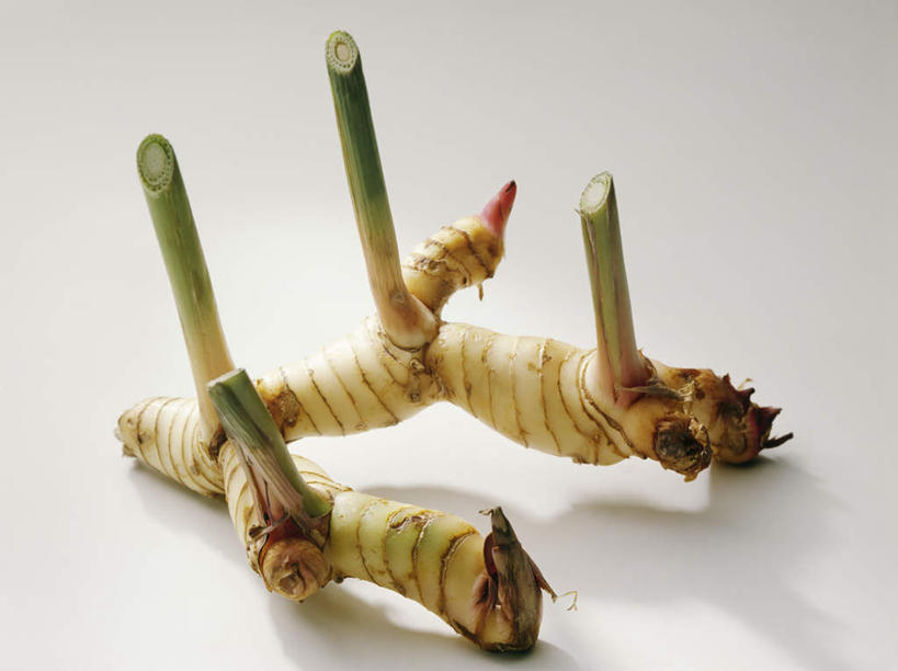 无人,横图,俯视,室内,特写,白天,植物,餐桌,桌子,阴影,灰色背景,光线,影子,调味,香料,佐料,草药,药草,中药,两个,摄影,影棚,餐台,配料,药材,中草药,高良姜,中药材,本草,作料,风姜,枫姜,高凉姜,良姜,蛮姜,小良姜,彩图,高角度拍摄,影棚拍摄,拍摄