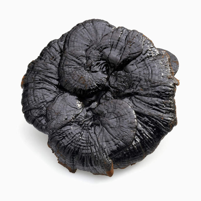 无人,方图,俯视,室内,特写,白天,白色背景,植物,桌面,桌子,灵芝,阴影,光线,木制,影子,菌菇,草药,药草,中药,黑色,木制品,摄影,影棚,药材,中草药,中药材,本草,芝草,仙草,神芝,瑞草,灵芝草,彩图,高角度拍摄,影棚拍摄,拍摄