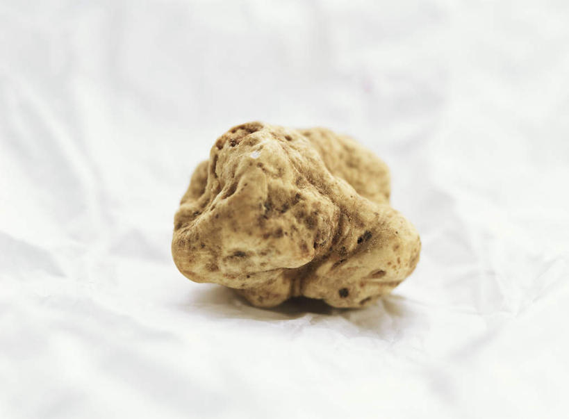 无人,横图,俯视,室内,特写,白天,餐桌,桌子,蔬菜,阴影,朦胧,模糊,新鲜,光线,布料,影子,菌菇,调料,食品,调味品,调味料,菌类,布纹,桌布,食物,一个,白色,餐巾,台布,食用菌,有机食品,绿色食品,单个,餐台,白块菌,块菌,彩图,高角度拍摄