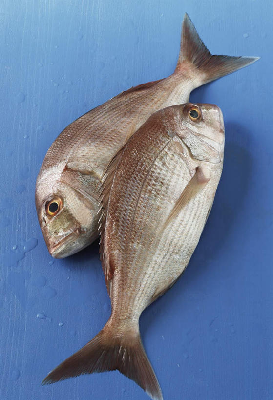 无人,竖图,俯视,室内,特写,白天,餐桌,桌子,两条,阴影,蓝色背景,朦胧,模糊,光线,鱼,影子,鱼类,海洋生物,蓝色,摄影,影棚,餐台,海鲷,死亡,水生动物,水生物,海底动物,殒命,灭亡,彩图,高角度拍摄,全身,影棚拍摄,拍摄