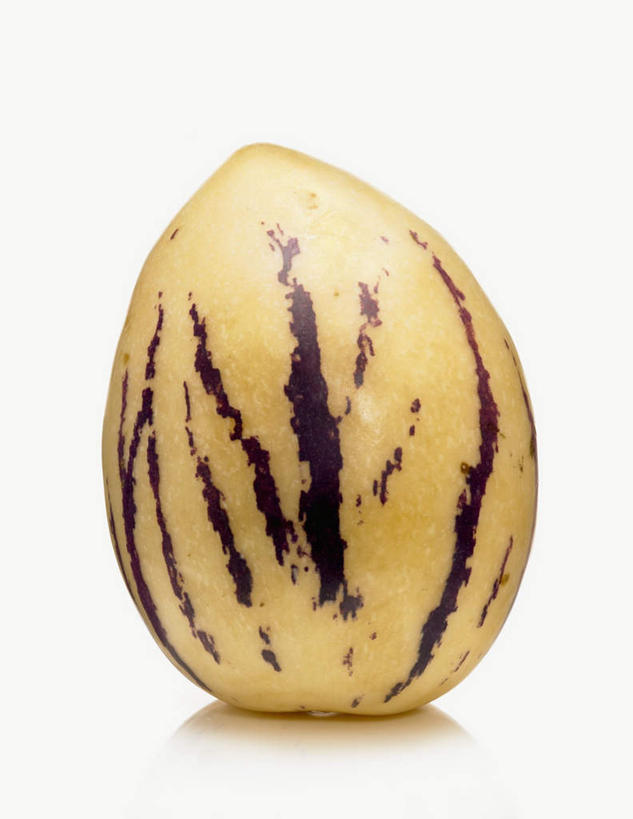 无人,竖图,俯视,室内,特写,白天,白色背景,桌面,桌子,水果,阴影,新鲜,光线,木制,影子,生食,食品,果实,食物,一个,木制品,摄影,有机食品,绿色食品,影棚,单个,茄瓜,香瓜梨,人参果,金参果,香瓜茄,香艳梨,香艳茄,彩图,高角度拍摄,影棚拍摄,拍摄