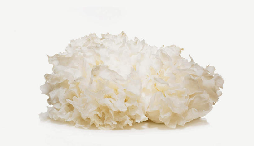 无人,横图,俯视,室内,特写,白天,白色背景,桌面,桌子,蔬菜,阴影,新鲜,光线,木制,影子,菌菇,食品,菌类,食物,一个,木制品,食用菌,摄影,有机食品,绿色食品,影棚,单个,白木耳,银耳,雪耳,彩图,高角度拍摄,影棚拍摄,拍摄