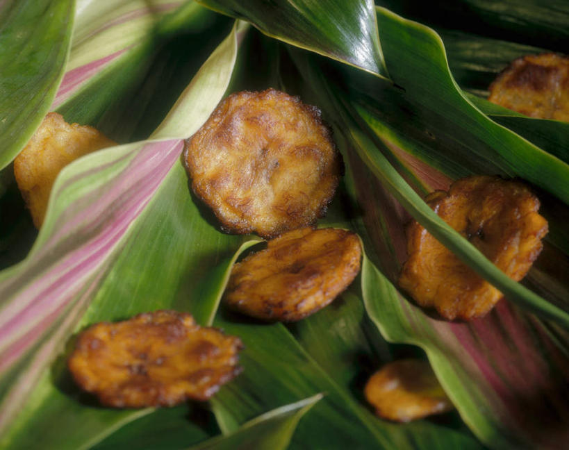 无人,横图,俯视,室内,特写,白天,蔬菜,土豆,叶子,一排,许多,阴影,新鲜,整齐,反射,影子,食品,褐色,绿叶,很多,芭蕉叶,食物,排列,嫩叶,有机食品,绿色食品,队列,馍馍蛋,叶,叶片,洋芋,山药蛋,马铃薯,彩图,高角度拍摄