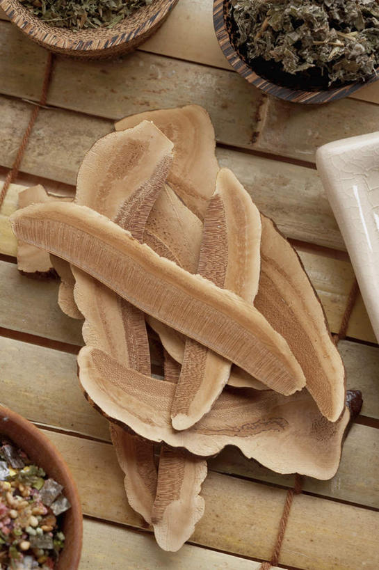 无人,竖图,俯视,室内,特写,白天,植物,餐桌,桌子,灵芝,一堆,许多,阴影,堆叠,堆积,反射,影子,陶瓷,菌菇,草药,药草,陶瓷制品,很多,中药,容器,碗,餐台,储藏,堆,储存,药材,中草药,餐垫,中药材,本草,芝草,仙草,神芝,瑞草,灵芝草,彩图,高角度拍摄,贮存