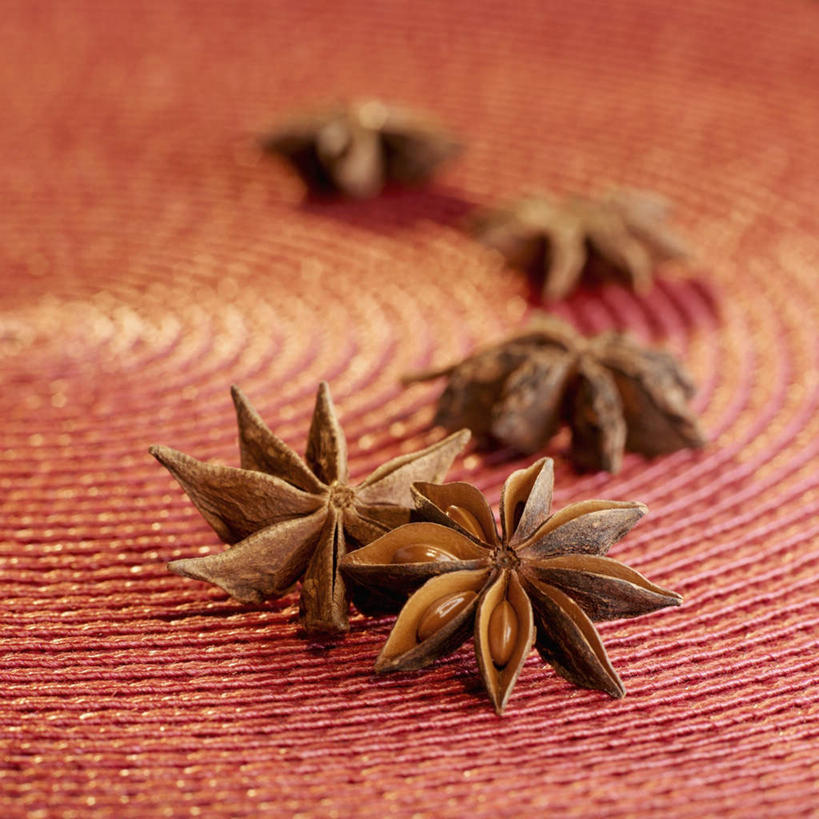 无人,方图,俯视,室内,特写,白天,植物,餐桌,桌子,五个,许多,阴影,朦胧,模糊,光线,影子,草药,药草,中药,排列,餐台,药材,中草药,茴芹,中药材,本草,摆列,鹅脚板,异叶茴芹,彩图,高角度拍摄,布列,分列