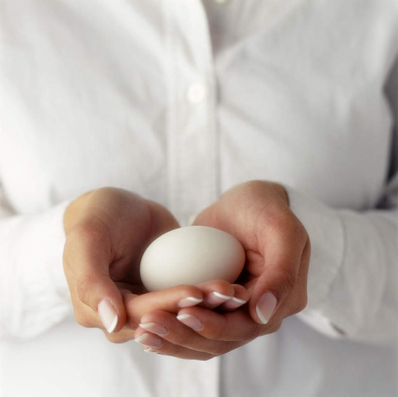 西方人,手,一个人,捧,横图,俯视,室内,特写,白天,衬衫,欧洲,欧洲人,仅一个年轻女性,仅一个女性,仅一个人,阴影,朦胧,模糊,光线,影子,灯光,蛋,鸡蛋,一个,白色,手部,单个,培育,卵,年轻女性,女人,女性,白种人,端,端着,捧着,手捧,半身,彩图,高角度拍摄,衬衣