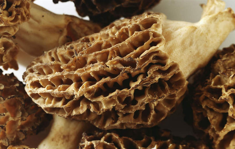 无人,横图,俯视,室内,特写,白天,桌面,桌子,蔬菜,一堆,许多,阴影,堆叠,堆积,新鲜,光线,木制,影子,菌菇,食品,很多,菌类,食物,木制品,食用菌,有机食品,绿色食品,堆,羊肚菇,羊肚菜,羊肚菌,羊蘑,美味羊肚菌,彩图,高角度拍摄