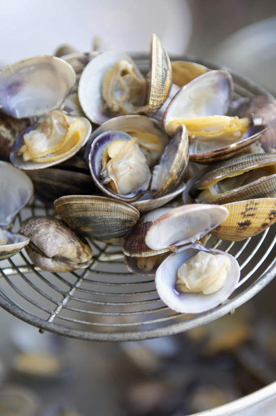 无人,竖图,俯视,室内,特写,白天,烹饪,桌面,桌子,贝壳,厨具,金属制品,一堆,许多,阴影,堆叠,堆积,朦胧,模糊,光线,金属,木制,锅子,滤器,影子,勺子,很多,锅,木制品,锅具,堆,蚌,漏勺,烹饪用具,巨蚌,巨蛤,贝类外壳,软体动物外壳,烹调用具,烹调,彩图,高角度拍摄