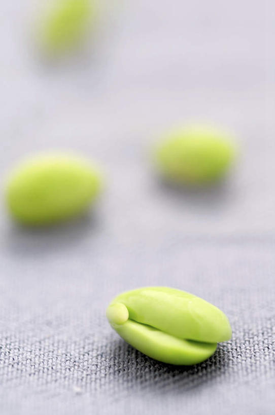 无人,竖图,俯视,室内,特写,白天,植物,豆,大豆,蔬菜,阴影,朦胧,模糊,新鲜,光线,布料,影子,豆类,豆子,毛豆,食品,布纹,四颗,桌布,食物,餐巾,台布,有机食品,绿色食品,豆科,枝豆,黄豆,彩图,高角度拍摄