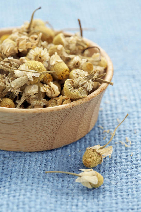 无人,竖图,俯视,室内,特写,白天,植物,许多,阴影,光线,木制,布料,影子,草药,药草,很多,布纹,中药,桌布,餐巾,木制品,容器,台布,碗,甘菊,储藏,干,储存,药材,中草药,中药材,本草,杭菊花,高尚,杭白菊,彩图,高角度拍摄,贮存