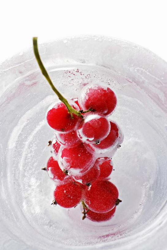 无人,竖图,俯视,室内,特写,白天,白色背景,水,浆果,水果,一串,许多,阴影,新鲜,光线,液体,影子,水滴,灯笼果,生食,食品,果实,很多,冰冻,食物,红色,摄影,有机食品,绿色食品,影棚,红醋栗,醋栗,彩图,高角度拍摄,影棚拍摄,拍摄