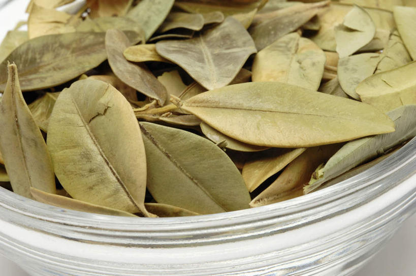 无人,横图,俯视,室内,特写,白天,植物,叶子,金属制品,一堆,许多,阴影,堆叠,堆积,光线,金属,纹理,影子,陶瓷,绿叶,草药,药草,陶瓷制品,很多,中药,一个,绿色,容器,碗,嫩叶,单个,储藏,堆,干,储存,药材,中草药,中药材,本草,肌理,叶,叶片,叶脉,彩图,高角度拍摄,黄杨,贮存