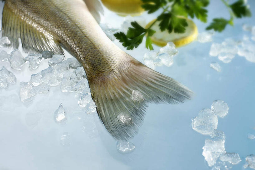 海鲜,无人,横图,俯视,室内,特写,白天,桌面,桌子,柑橘,蔬菜,水果,阴影,新鲜,反射,木制,鱼,影子,冰,香菜,肉,鱼肉,冰块,食品,冷冻,水产,肉类,鱼类,海洋生物,食物,木制品,寒冷,有机食品,绿色食品,冷藏,冰冷,水生动物,海产品,水生物,肉食,海底动物,鱼尾,胡菜,香荽,原荽,园荽,芫荽,胡荽,莞荽,芫茜,芫蓿,莚葛草,莚荽菜,保鲜,橘子,桔子,橙子,橙,半身,彩图,高角度拍摄