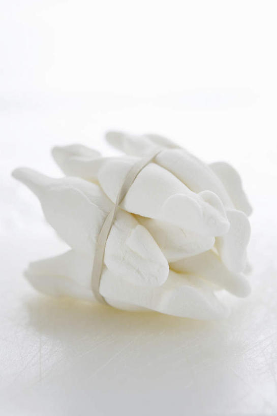 无人,竖图,俯视,室内,特写,白天,白色背景,植物,桌面,桌子,阴影,反射,木制,影子,草药,药草,中药,木制品,绳子,摄影,影棚,绳索,止咳,药材,中草药,药蜀葵,中药材,本草,解毒,利尿,消炎,彩图,高角度拍摄,影棚拍摄,拍摄,散寒