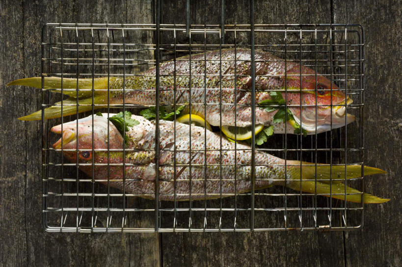 海鲜,无人,横图,俯视,室内,特写,白天,餐桌,桌子,叶子,金属制品,两条,阴影,装饰,光线,金属,鱼,影子,支架,调味,香料,佐料,绿叶,水产,鱼类,海洋生物,架子,一个,嫩叶,单个,餐台,华丽,修饰,点缀,配菜,配料,水生动物,海产品,笛鲷,水生物,海底动物,作料,衬托,美观,雅致,雅观,四带笛鲷,叶,叶片,彩图,高角度拍摄,全身