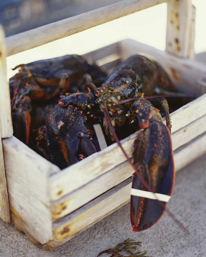 海鲜,龙虾,无人,交叉,竖图,俯视,室外,特写,白天,餐桌,桌子,竹子,竹制,编织,篮子,虾,水产,海洋生物,一个,竹篮,单个,餐台,竹条,交织,竹制品,水生动物,海产品,水生物,海底动物,穿插,彩图,高角度拍摄,全身