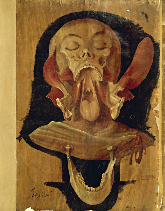 无人,竖图,插画,特写,绘画,数码,科技,阴影,艺术,网络,人头骨,高光,几何,计算机图形,古典,合成,图画,文化,画,工艺品,纸巾,品味,幻想,人体,摄影,美术,电脑合成图,数码合成图,生物学,高雅,合成图,漫画,写实,具体,具象,美学,颌骨,惊骇,人体结构,彩图