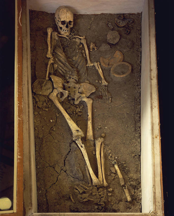 骨骼,无人,竖图,室内,白天,泥土,骨头,历史,陶器,人体,摄影,死亡,考古学,骨架,坟墓,结束,古代文明,彩图,过去