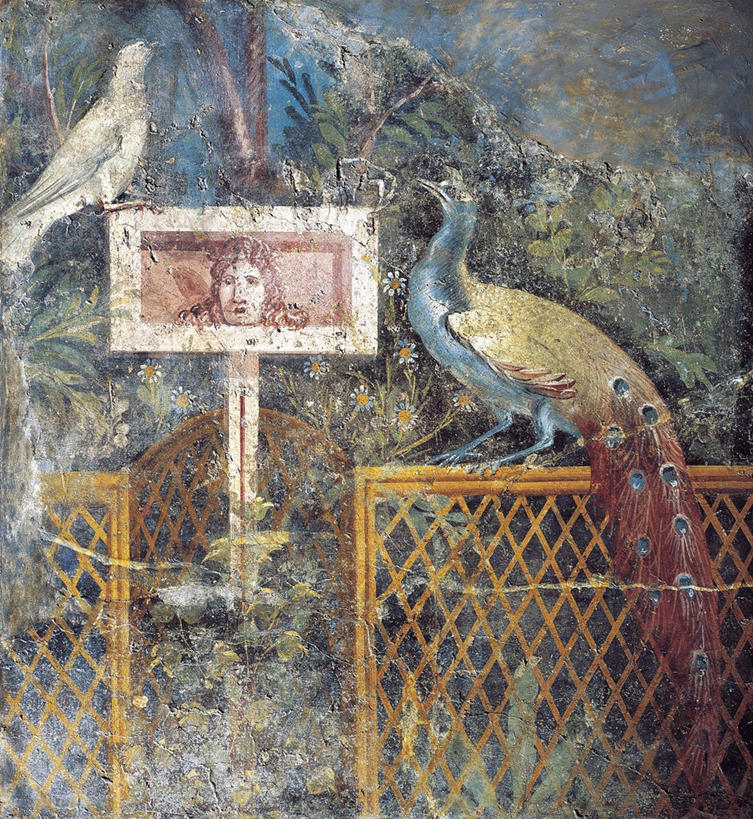 无人,竖图,室外,白天,美景,孔雀,意大利,鸟类,景观,篱笆,历史,古罗马,自然,动物,两只,景色,摄影,栖息,考古学,自然风光,演出服,意大利文化,美术工艺,彩图,过去