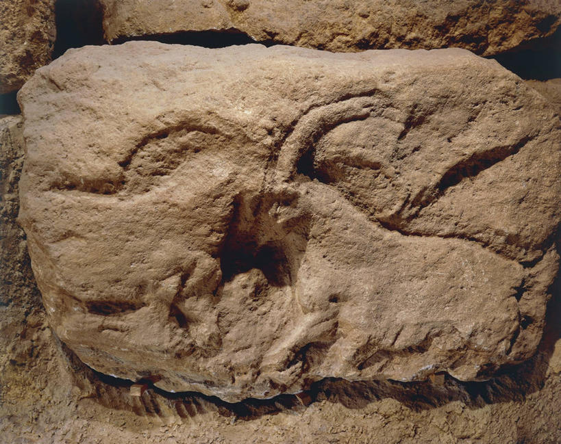 无人,横图,特写,对抗,冲突,历史,古代,一个,摄影,单个,考古学,打斗,敌对,古代文明,美术工艺,彩图,石器时代