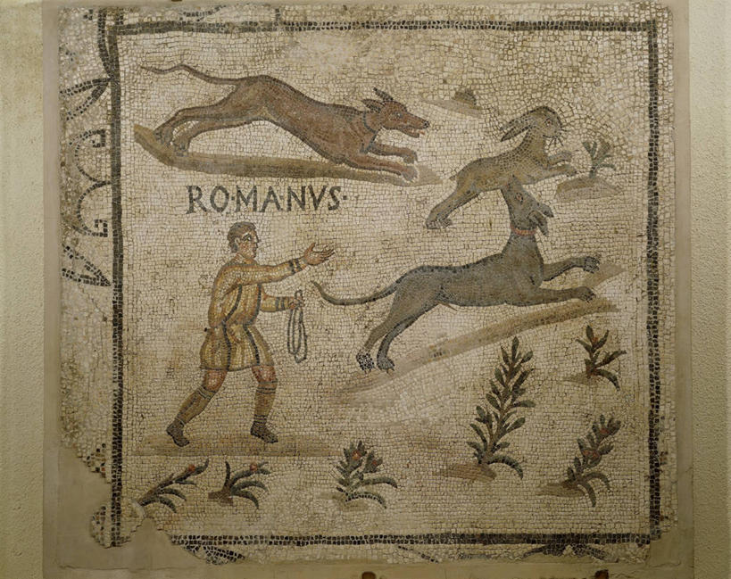 无人,横图,哺乳动物,狗,追赶,花纹,兔子,捕食,标志,符号,图案,标识,古罗马,古代,动物,摄影,兔,家兔,性别符号,拉丁文,美术工艺,彩图,影棚拍摄,男性符号