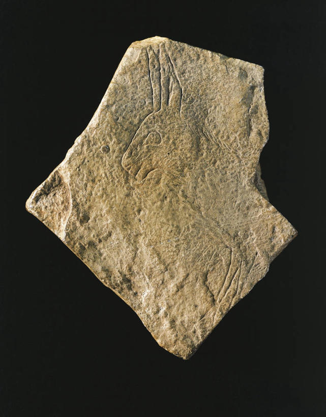 无人,竖图,特写,黑色背景,历史,一个,摄影,单个,考古学,野兔,美术工艺,彩图,影棚拍摄,雕刻术,过去