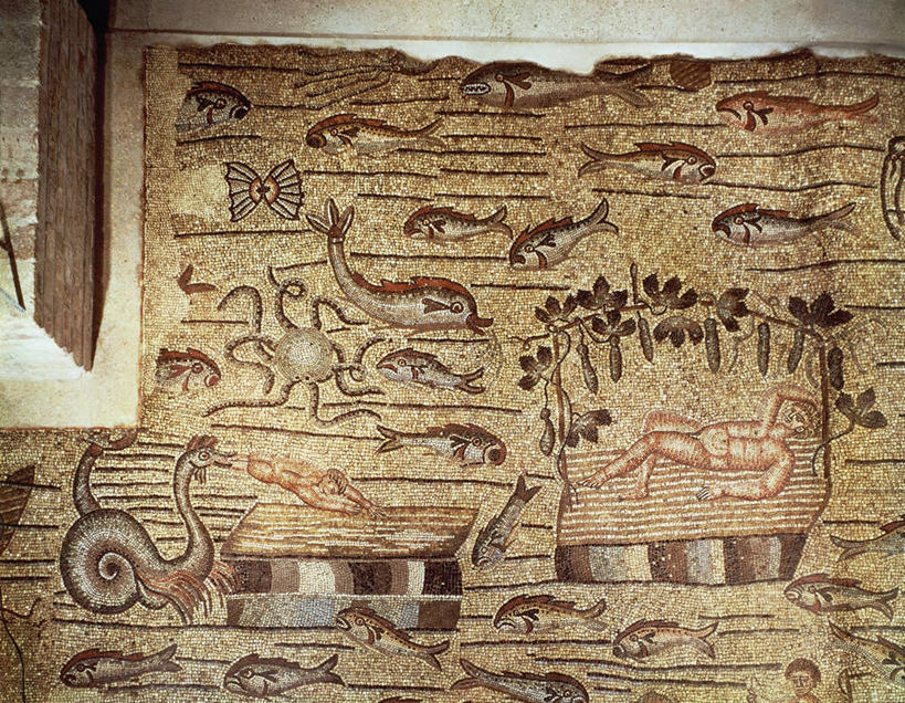 无人,横图,室内,海洋,意大利,一群,许多,花纹,图案,地面,很多,鱼类,古罗马,波浪,摄影,基督教,海怪,头足类动物,古代文明,旧约,彩图