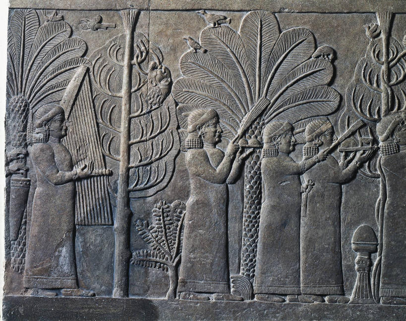 无人,横图,庆祝,标志,符号,竖琴,音乐,标识,古代,摄影,游行,中东文化,性别符号,古代文明,异性恋,美术工艺,彩图,影棚拍摄,浅浮雕,男性符号