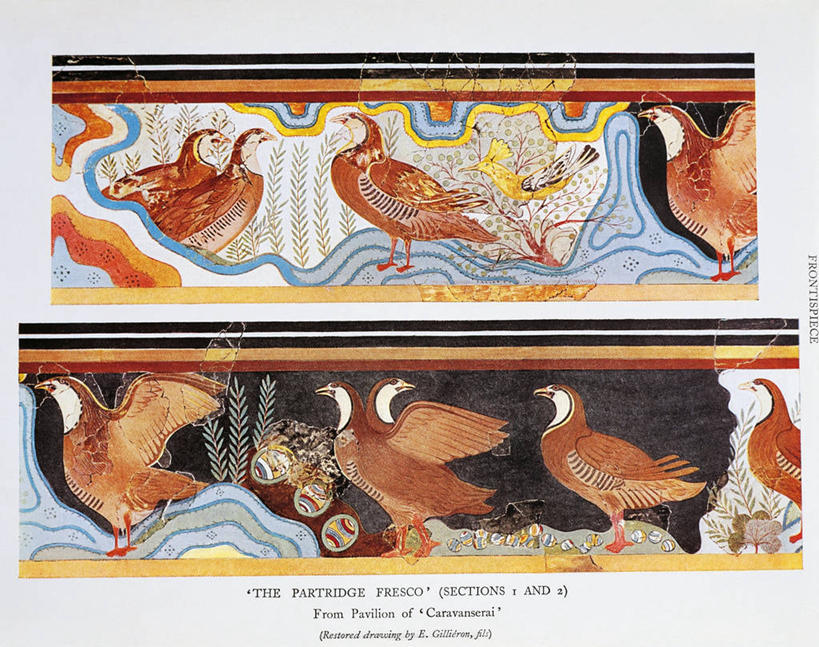 无人,横图,插画,探险,数码,科技,希腊,阴影,网络,鸟类,高光,几何,计算机图形,合成,图画,画,古代,自然,摄影,英文字母,电脑合成图,数码合成图,合成图,漫画,克里特岛,写实,具体,具象,古希腊,古代文明,克诺塞斯,书,彩图,影棚拍摄,书页