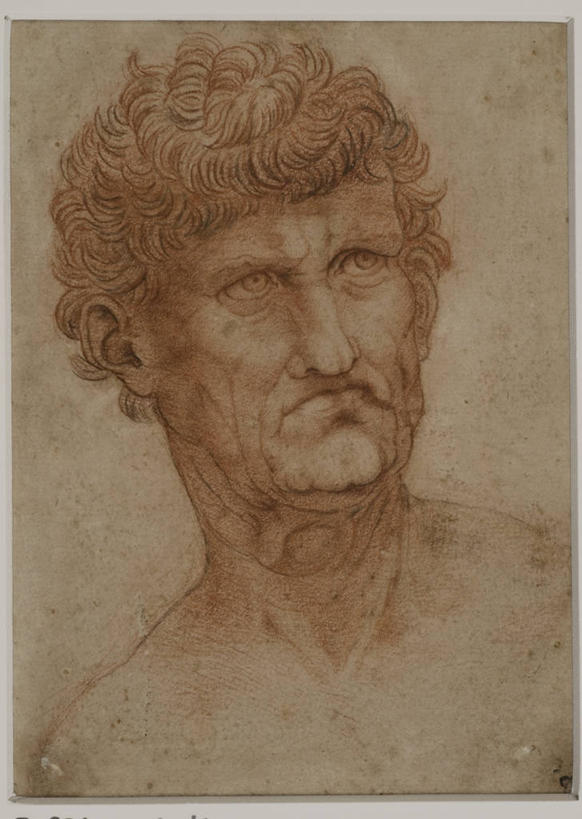 成年人,脸,头,脸颊,一个人,竖图,插画,数码,科技,仅一个男性,阴影,网络,纸,高光,几何,计算机图形,文艺复兴,合成,图画,肩膀,画,摄影,电脑合成图,数码合成图,合成图,漫画,粉笔画,写实,具体,具象,头部,卷发,脸部,脸蛋,面部,彩图