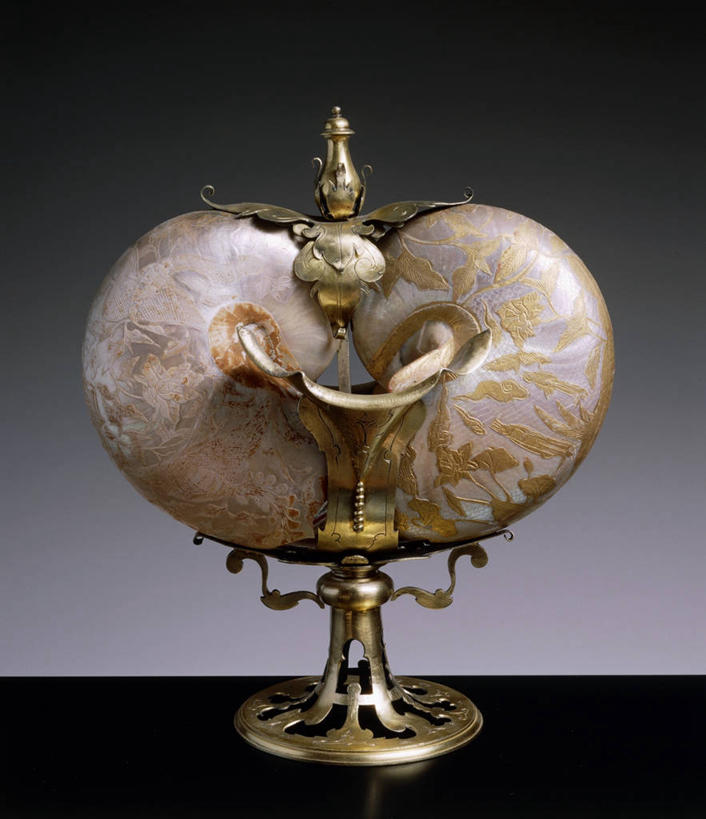 无人,竖图,花纹,鹦鹉螺,一个,摄影,单个,古董,美术工艺,彩图,影棚拍摄,雕刻术