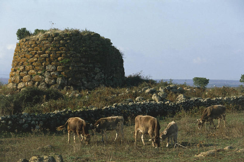 无人,横图,地平线,云,辽阔,地面,草,天空,广阔,摄影,一望无际,延伸,天地相交,母牛,无边无际,一马平川,古代文明,撒丁岛,史前时代,彩图