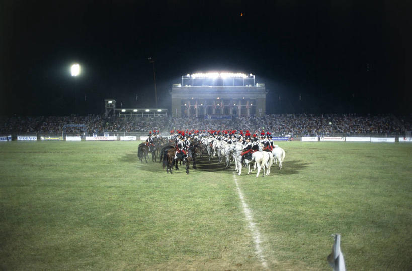 足球场,横图,室外,夜晚,制服,建筑,马,意大利,一排,一群,许多,丰富,整齐,并排,军事,很多,许多人,历史,体育场,排列,一群人,面对面,家畜,摄影,照亮,队列,军服,警官,队服,米兰,一致,彩图,传统服装,传统文化,宪兵,泛光照明