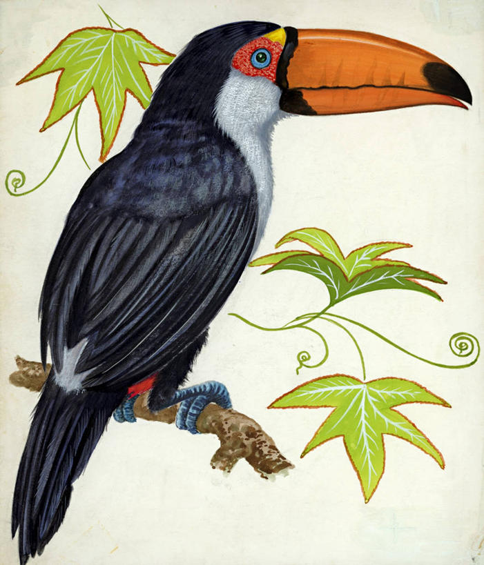 无人,竖图,插画,数码,科技,鸟,野生动物,阴影,网络,鸟类,枝,高光,几何,计算机图形,合成,图画,画,动物,栖息,电脑合成图,数码合成图,生物学,合成图,漫画,巨嘴鸟,写实,具体,具象,鵎鵼,彩图,动物学