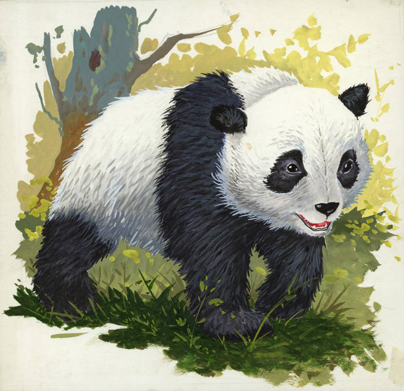 无人,横图,方图,插画,数码,科技,野生动物,熊,阴影,网络,高光,几何,计算机图形,合成,图画,画,电脑合成图,数码合成图,生物学,合成图,大熊猫,漫画,写实,具体,具象,步行,彩图,动物学