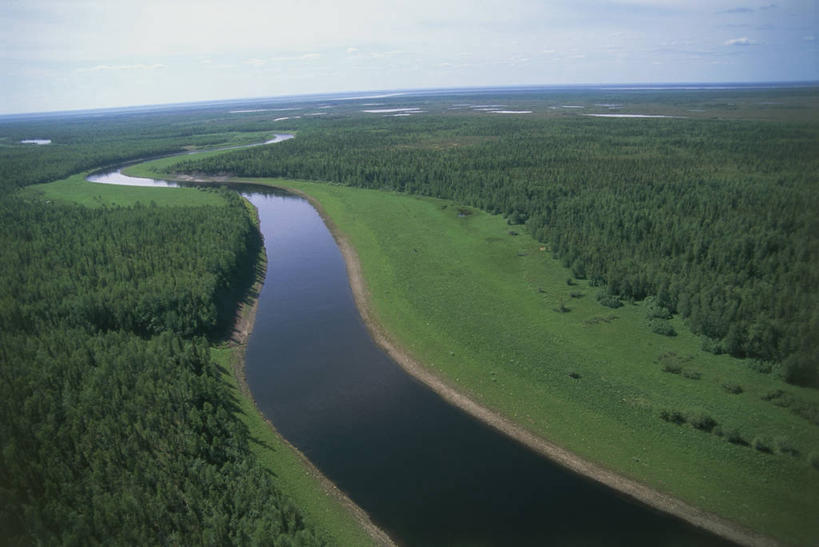 无人,横图,俯视,航拍,室外,白天,旅游,度假,河流,美景,森林,俄罗斯,弯曲,地平线,地形,景观,辽阔,地面,娱乐,风景,自然,享受,休闲,广阔,景色,放松,摄影,宁静,一望无际,鸟瞰,自然风光,延伸,西伯利亚,针叶林,万里无云,天地相交,无边无际,一马平川,自然地理,彩图,高角度拍摄