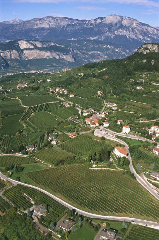 无人,竖图,俯视,航拍,室外,白天,美景,山,意大利,欧洲,景观,田地,山谷,自然,景色,摄影,宁静,鸟瞰,南欧,自然风光,意大利文化,意大利共和国,特伦蒂诺.上阿迪杰大区,彩图,高角度拍摄