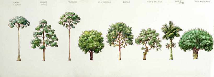 无人,横图,全景,插画,数码,科技,一排,阴影,整齐,并排,网络,高光,几何,计算机图形,合成,图画,榴莲,画,树,排列,绿色,自然,生长,多样,电脑合成图,数码合成图,生物学,合成图,队列,漫画,写实,具体,具象,美术工艺,菠萝蜜,彩图