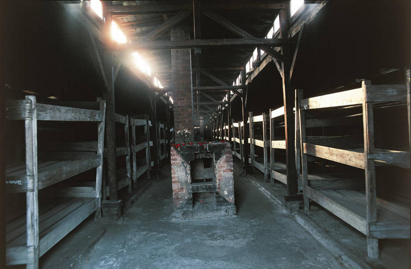 无人,横图,室内,白天,太阳,欧洲,波兰,栅栏,篱笆,图像,历史,地标建筑,战争,摄影,第二次世界大战,主题,处罚,东欧,构图,集中营,奥斯维辛,小波兰省,彩图,旅行,法西斯主义,时空,纳粹主义,社会问题,大屠杀,比克瑙