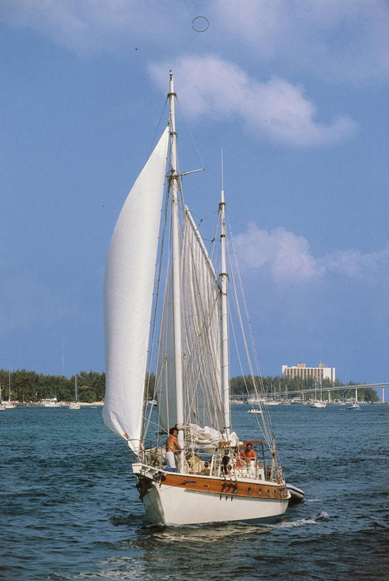 帆船,成年人,两个人,站,竖图,室外,白天,度假,海洋,水,船,加勒比海,波纹,朦胧,模糊,云,图像,天空,交通工具,大西洋,南美,摄影,航海,南美洲,人造,北美,西印度群岛,拉丁美洲,载具,主题,美洲,自然现象,亚美利加洲,南亚美利加洲,构图,新普罗维登斯岛,新普洛维顿斯岛,男人,休闲活动,彩图,旅行,时空,巴哈马群岛