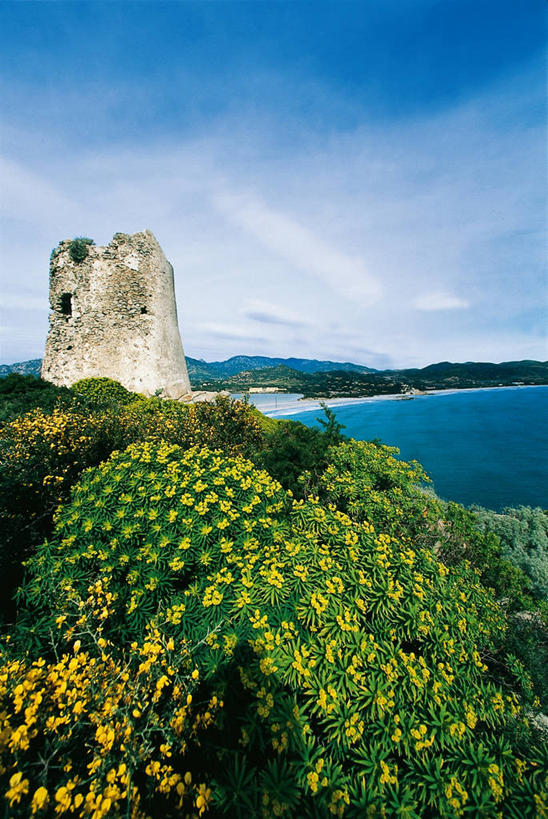 无人,竖图,室外,白天,意大利,海岸线,图像,摄影,南欧,主题,构图,撒丁岛,自然地理,彩图,时空