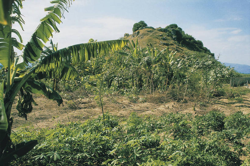 无人,横图,室外,白天,旅游,度假,美景,山,植物,法国,欧洲,加勒比海,海地,地形,景观,云,香蕉树,图像,娱乐,树,风景,天空,自然,享受,休闲,景色,大西洋,放松,摄影,北美,西印度群岛,西欧,法兰西,自然风光,主题,美洲,自然现象,地貌,法兰西共和国,法兰西第五共和国,构图,北部.加来海峡,北部.加来海峡大区,伊斯帕尼奥拉岛,诺尔.加莱大区,彩图,旅行,时空
