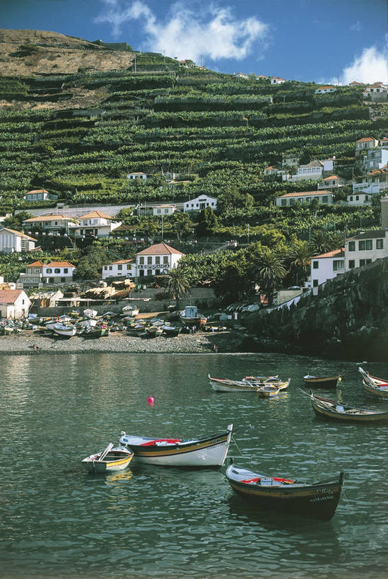 无人,竖图,俯视,室外,白天,海洋,水,植物,建筑,船,葡萄牙,欧洲,波纹,反射,云,图像,树,天空,概念,运输,摄影,人造,地中海文化,主题,自然现象,视角,伊比利亚半岛,构图,马德拉,马德拉群岛,大西洋群岛,彩图,高角度拍摄,旅行,时空,传统文化