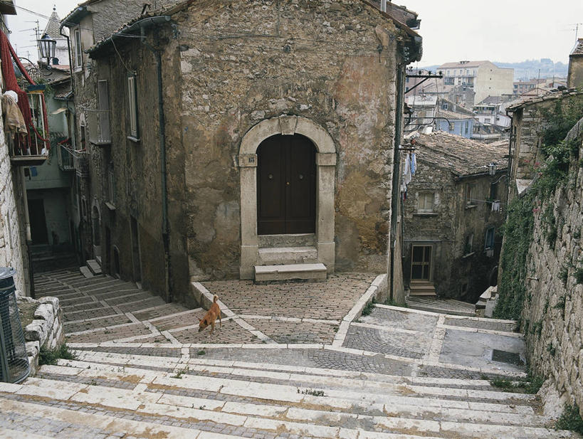 无人,横图,俯视,室外,白天,门,建筑,哺乳动物,狗,野生动物,意大利,欧洲,灯笼,城镇,拱门,图像,废墟,台阶,动物,摄影,人造,照明设备,地中海文化,南欧,主题,视角,构图,彩图,高角度拍摄,旅行,时空,居住区,传统文化,状态,莫利塞,脊椎动物亚门