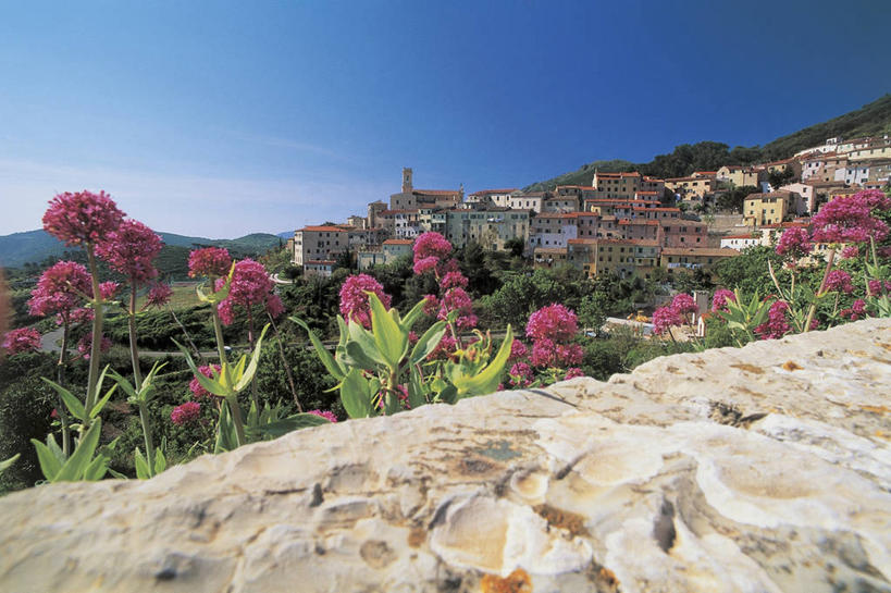 无人,横图,室外,白天,山,植物,建筑,意大利,欧洲,图像,花,树,蓝色,天空,自然,概念,摄影,生长,人造,地中海文化,南欧,主题,意大利文化,托斯卡纳区,地貌,万里无云,厄尔巴岛,构图,岩石,彩图,旅行,时空,传统文化,利禾奴