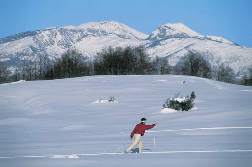 成年人,一个人,横图,室外,白天,侧面,运动鞋,运动,雪,植物,意大利,欧洲,仅一个男性,阴影,冬天,天气,痕迹,图像,树,衣服,蓝色,天空,寒冷,季节,摄影,生活方式,滑雪杖,国家公园,地中海文化,南欧,体育器械,主题,视角,万里无云,构图,冬季运动,滑雪靴,滑雪运动,彩图,旅行,时空,传统文化,越野滑雪