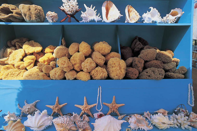 无人,横图,室外,特写,白天,商务,太阳,海星,希腊,欧洲,吊挂,悬挂,形状,丰富,海绵,市场,挂,图像,货摊,概念,星形,生物,摄影,多样,地中海文化,南欧,主题,棘皮动物,克里特岛,构图,雷西姆农,彩图,旅行,时空,传统文化
