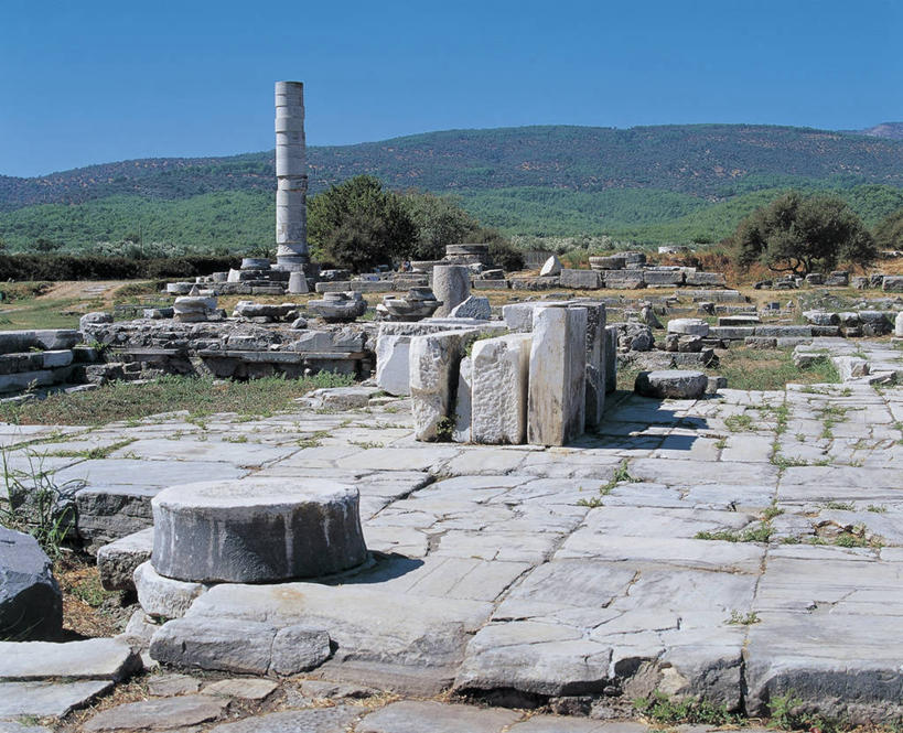 无人,寺庙,横图,室外,白天,山,植物,建筑,希腊,欧洲,阴影,神话,柱子,岛,酒类,首都,美丽,图像,历史,文化,废墟,酒,草,树,饮料,天空,地标建筑,摄影,宗教,考古学,人造,宗教建筑,地中海文化,南欧,希腊文化,主题,传说,温柔,希腊神话,爱琴海群岛,地貌,万里无云,蒸馏酒,朱诺,烈酒,构图,古希腊,王后,古代文明,古代史,灵性,慈爱,赫拉,神后,彩图,旅行,时空,传统文化,状态