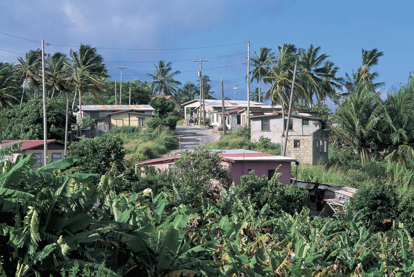 无人,横图,俯视,室外,白天,植物,建筑,路,叶子,加勒比海,巴巴多斯,电缆,房屋,屋顶,岛,城镇,香蕉树,图像,杆,方向,树,天空,大西洋,摄影,电,香蕉叶,人造,北美,住房,西印度群岛,主题,美洲,自然现象,视角,地貌,小安的列斯群岛,构图,彩图,高角度拍摄,旅行,时空,电力电缆